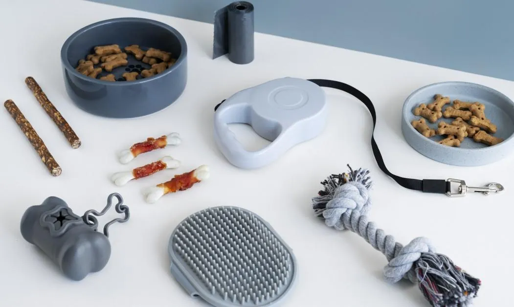Five Everyday Pet Essentials Worth Keeping Handy