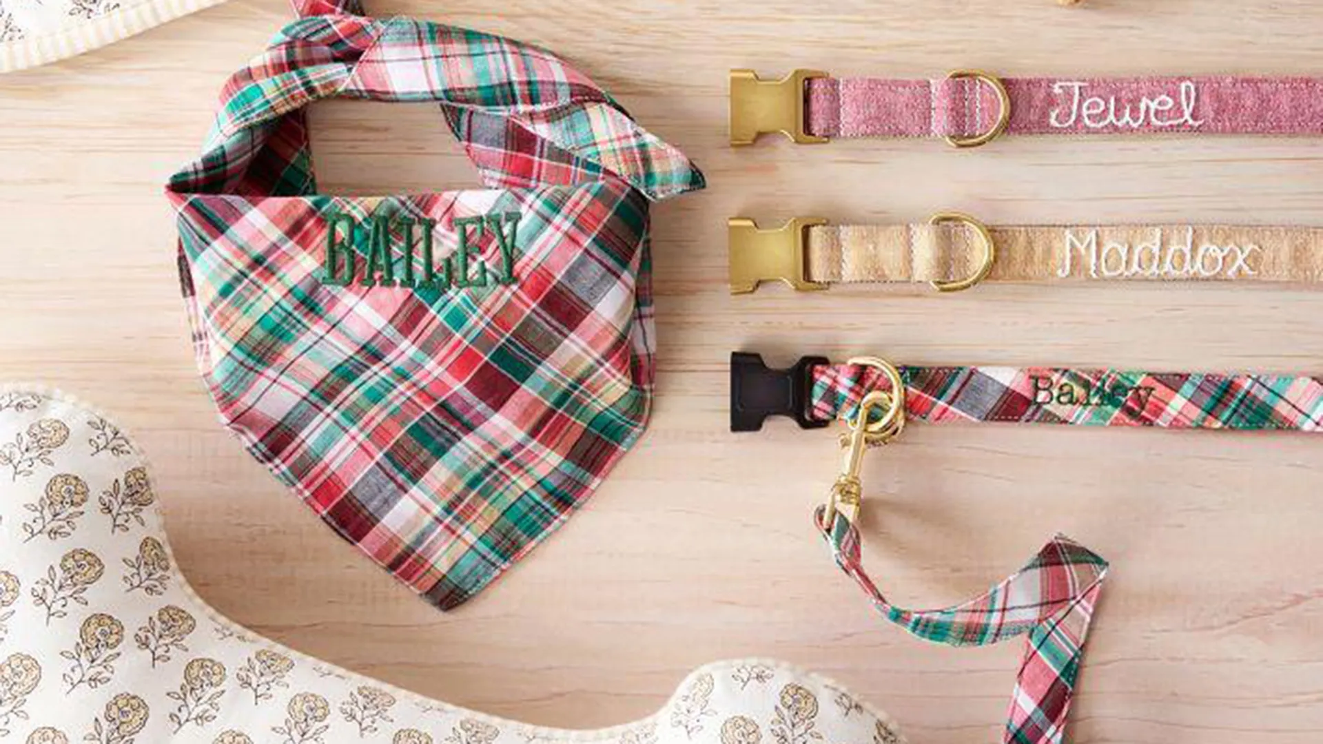 What Makes a Pet Accessory Feel Premium